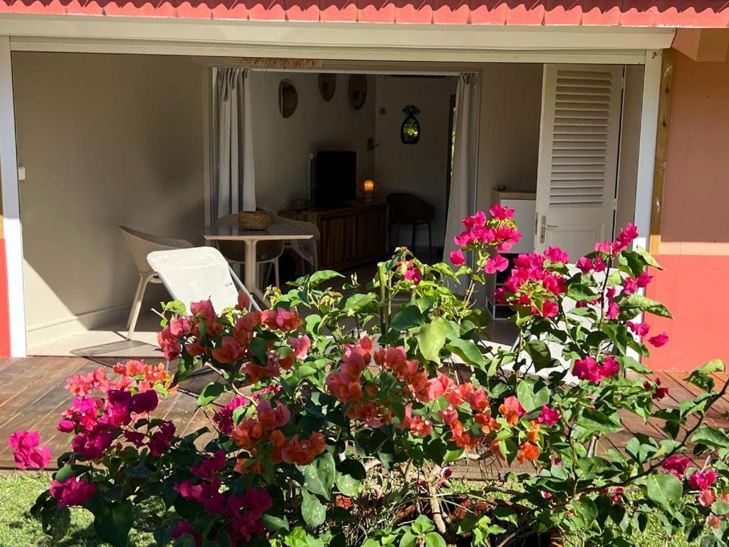 Les Pieds Dans L'Eau: Beachfront Retreat at Anse Caritan, Sainte-Anne Exterior photo