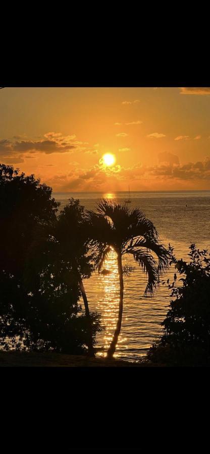 Les Pieds Dans L'Eau: Beachfront Retreat at Anse Caritan, Sainte-Anne Exterior photo